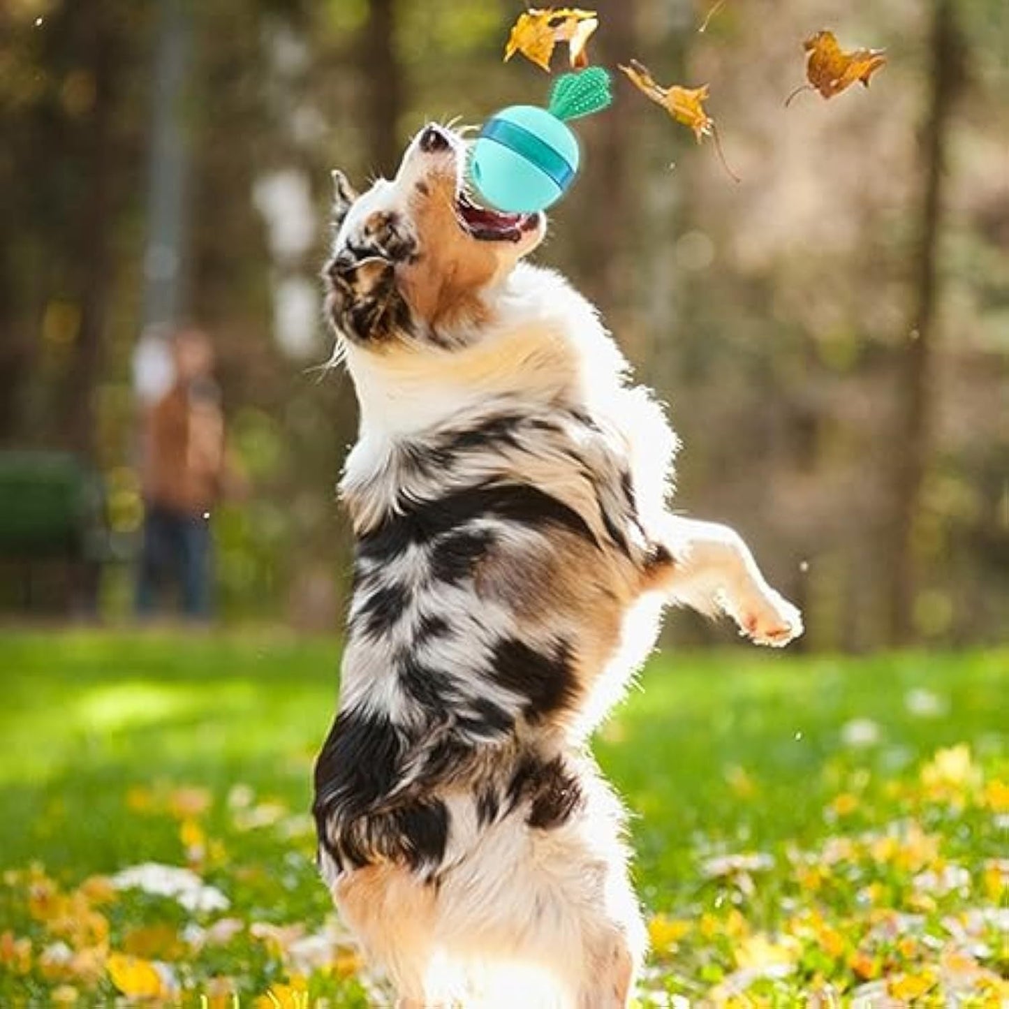 Interactive Treat Dispensing Dog Toys Different Functions Interactive Dog Puzzle Toys Balls For Medium Large Dogs Dog Treat Toys Dog Puzzle Toys Durable Rubber Dog Chew Toys