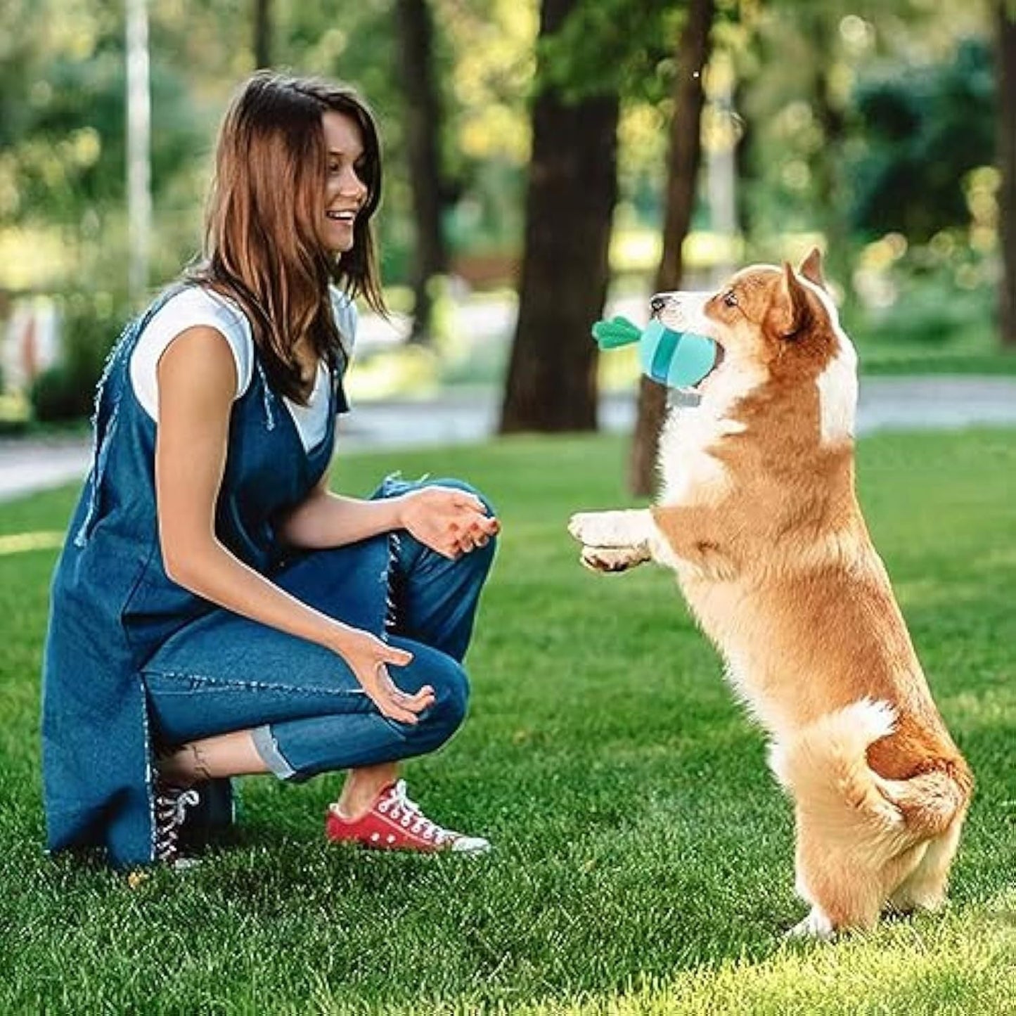 Interactive Treat Dispensing Dog Toys Different Functions Interactive Dog Puzzle Toys Balls For Medium Large Dogs Dog Treat Toys Dog Puzzle Toys Durable Rubber Dog Chew Toys