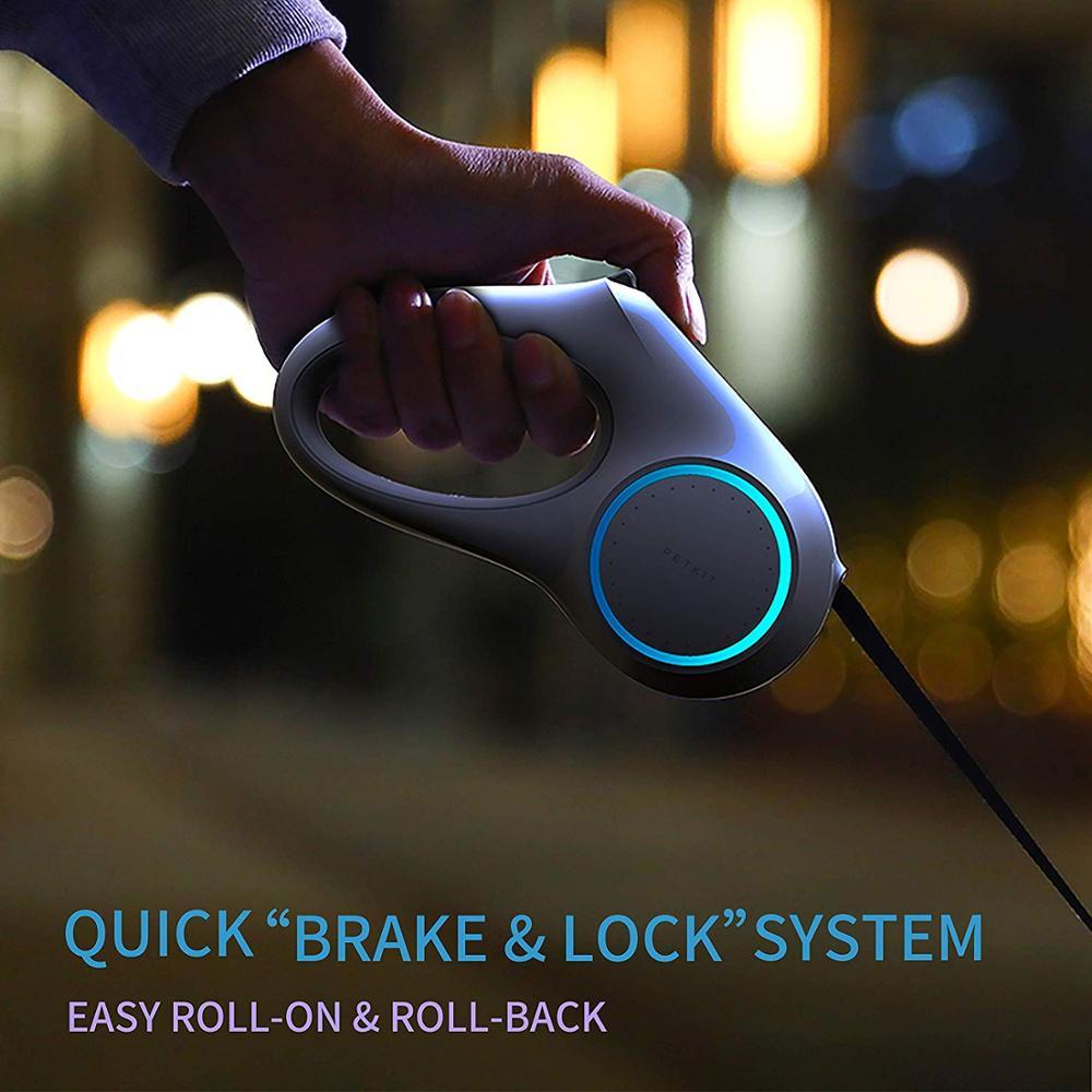 Dog Leash Retraction