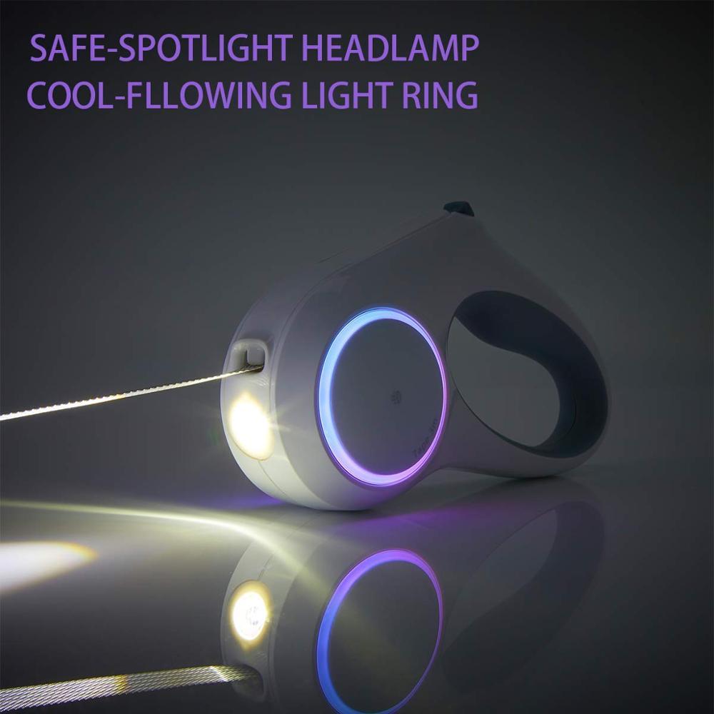 Dog Leash Retraction