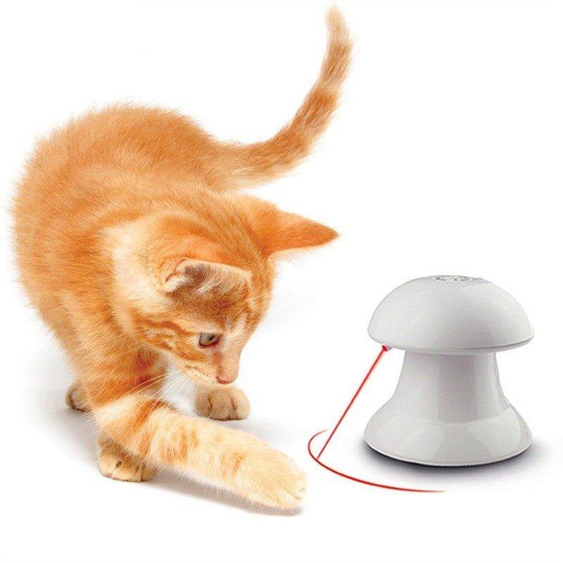 Interactive LaserToy - Zambeel