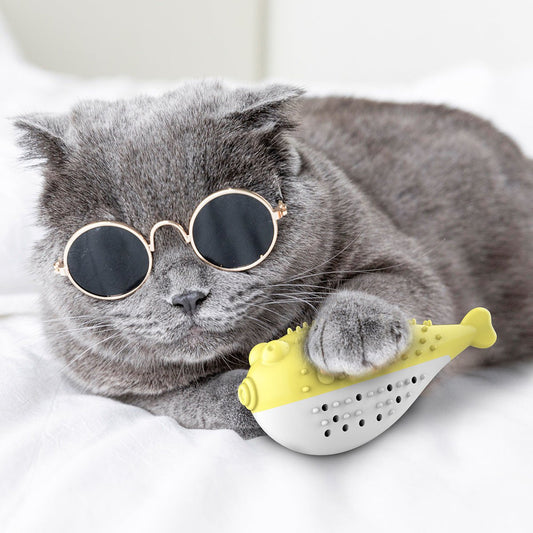 Mint Simulation Fish Cat Toothbrush Toy - Zambeel