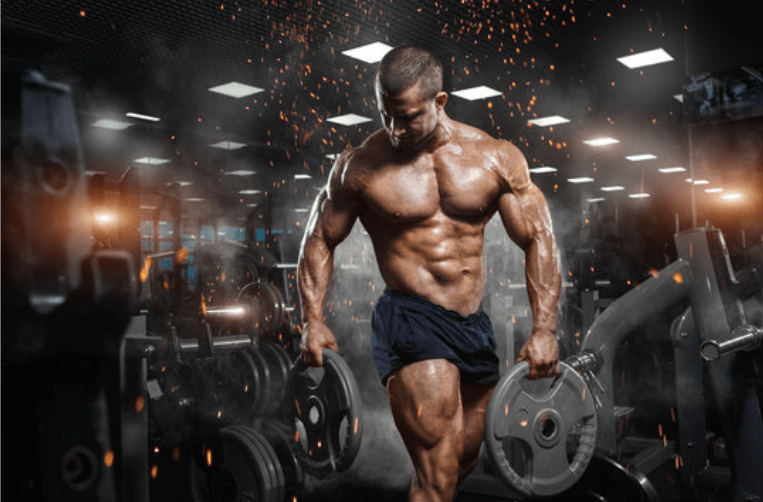 NP Nutrition - L-Glutamin &  BCAA (Original)