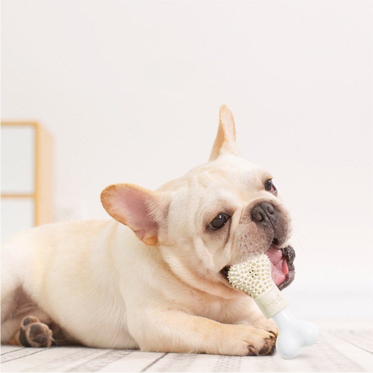 Pet Chewing Toy